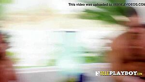 wild swinger party with intense blowjob and pussy licking