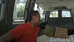 Free Homosexual Porn Clip