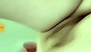 Mature woman in monte alegre interior