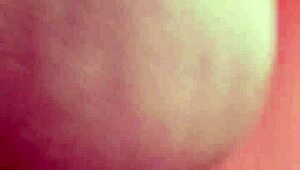 sunday dogood update on january 29