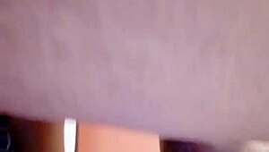 sunday dogood update on january 29