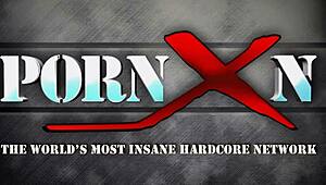 Superb brunette babe gets arse fucked with force