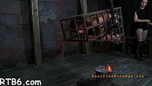 Check out these four angels trapped in a tiny cage!