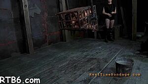 Check out these four angels trapped in a tiny cage!