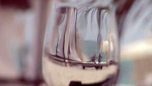 sexy party girls at the nightclub and beach on vacation