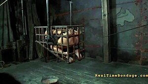 Check out these four angels trapped in a tiny cage!