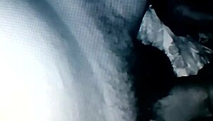 sexo oral le gusta al chibolo pulpo