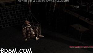 I gratify my babe with hardcore toys in a rough game contest