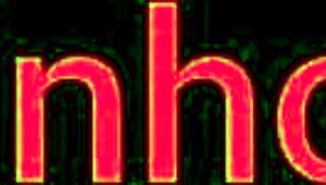 Employees caught in the store's back area