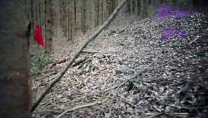 Tatiana Morales as Little Red Riding Hood gets lost in the forest, where the wolf fucks her ass, mouth, and cums.
