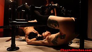 are tied up lesbian bondage babes punished?