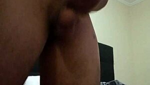 Hard Cock Well Erect