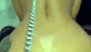 Pet on leash serves male with ass, licks cum and cleans up