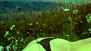 Latinas lick ass and pussy in doggystyle in the forest