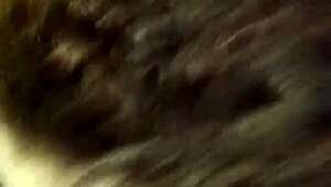 Girlfriend gives bold blowjob to friend, sucking right intensely