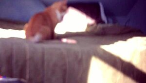 Hidden Dildo Masturbation Leads To Intense Orgasm