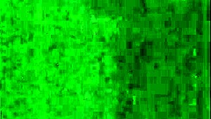 Eating Her Pussy Until She Cums In Hidden Interracial Orgasm!