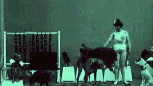 My hidden life: top 20 doggy style and anal play