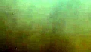 Chipkechip sneaks a quick outdoor romp with neighbor's husband. Dripping wet!