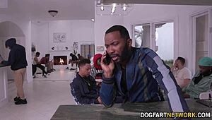 Can you handle blonde babe harley king in a 17-man bukkake blowbang?