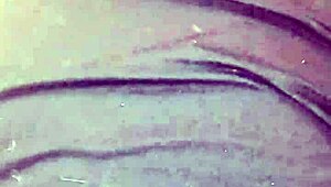 Chubby woman enjoying a private session with big black cock