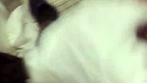 I'm selling my big dick for some ass action