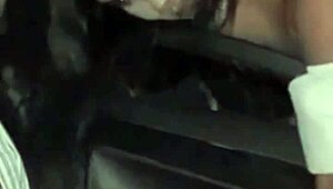Masturbating to a random person via car window