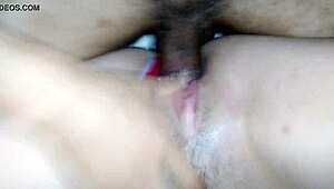 gozei a buceta dela toda com a calcinha de lado melando tudo de borra-amador