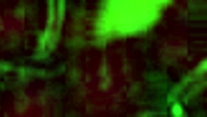 i watch my cute young asian girlfriend get cumshot on her big tits