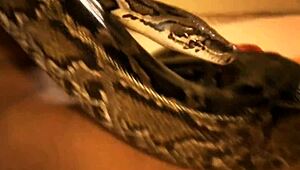 indian milf performs sensual exotic dance solo