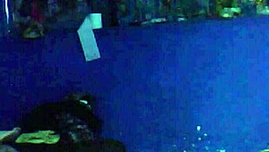 A Mi Esposo Se Le Pasaron Las Copas Y Terminó Follando Con El Vecino En Dirty Talk Cuckold Lick.