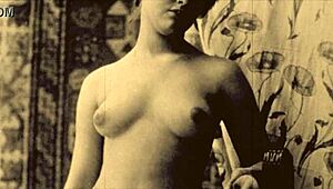 check this out, vintage porn spanning two centuries with hairy action