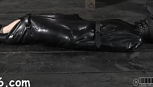 hey cutie, watch this sweet beauty get tossed in a cage with another babe 😜