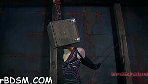 Rough bondage POV with slut sucking cock before bent over fucking.