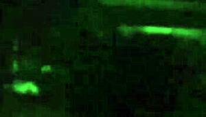 Damn, blond hottie dives into public dogging gangbang orgy on the street!