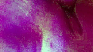 Utah James Destroys Pussy With Huge Cock In Horny Slut Action