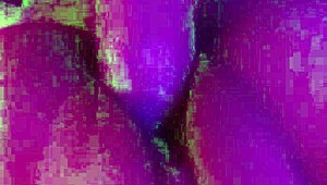 Utah James Destroys Pussy With Huge Cock In Horny Slut Action