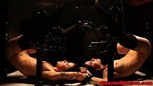 Lezdom dominant sluts get rough with bondage and submission