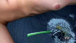 Free Amateur Couple Enjoys Anal Sex