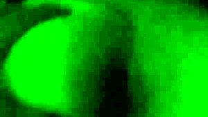 this mexican girl says, my sweet ass is ready