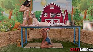 avery jane satisfies horny shemales izzy and eva on farm