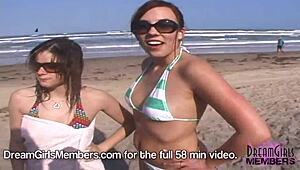 American college girls bare all on a Texas beach