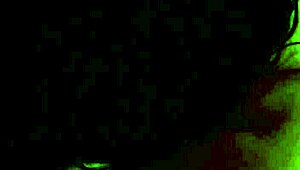 Intriguing oral encounter with mamada technique