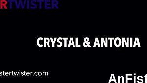 Feisty Classy Lesbian Bimbo Babes Fist Tight Pussies And Rim Assholes Hard