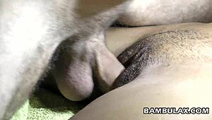 ebony girlfriend takes big white cock 😍