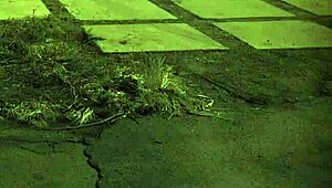 rough gangbang scenes from a wild retro collection