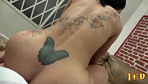 Dupla penetração, nego catra e ted no pov com elisa sanches