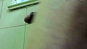 anal toys destroy ass in cochino sabroso scene