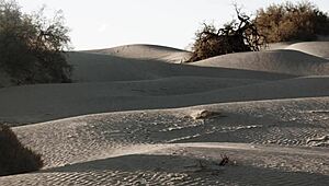 Un souvenir de sexe avec célébrités en 2017