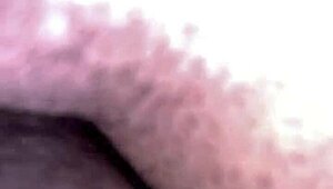 Chloe Belle's perfect ass gets doggystyled by big black cock in homemade hardcore.